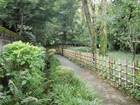 『史跡を巡る新緑のさんぽ道』 湧水と、地採れ新鮮野菜を求めて〜