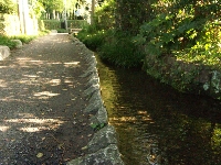 お鷹の道遊歩道